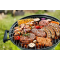 Disposable Bbq Grid for Cooking